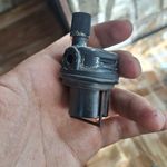 مجتبی نامی