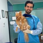 كلينيك دامپزشكي دکتر کرمانی