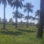 پارک کوت عبدالله