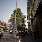 مرغ سوخاری تهران