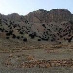 محوطه باستانی شمی