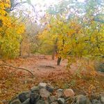 روستای ده بالا