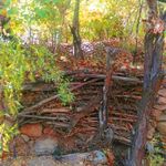 روستای ده بالا