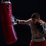 باشگاه خانواده بوکس شعبه دوم