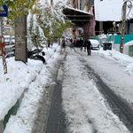 نگارخانه احسان