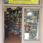 الکتریکی پروانه