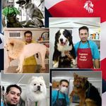 آرایشگاه حیوانات خانگی گرومر