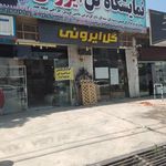 گل ایران زمین