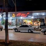 گل ایران زمین