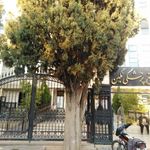 مجتمع پزشکی نگین