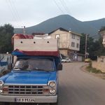 محمدزاهد محمودپناه