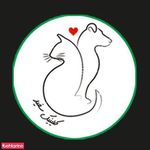 کلینیک دامپزشکی سفید