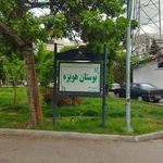 حافظ