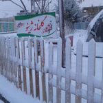 گلخانه ژینو