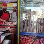 پخش مرغ محمدی