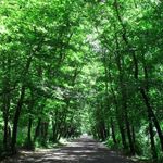 روستای صفرا بسته