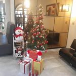 رستوران فرنگی ارکیده طلایی 