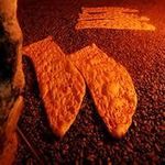 سنگک پزی سنتی بابایی