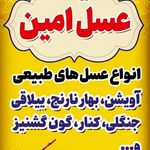 فروشگاه عسل امین