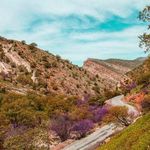 تنگه ارغوان