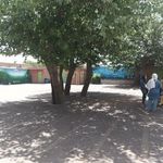 دبستان دخترانه دولتی راه زینب