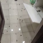 سم پاشی باغبانی سمپاشی هرس تعویض خاک گلد