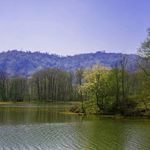 تالاب سوستان