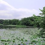 تالاب سوستان