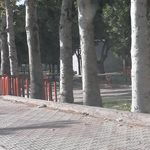 سرویس بهداشتی عمومی