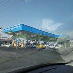 جایگاه شهید لطفی