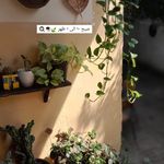 گالری کافه کژبوم