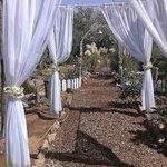 عکاسی هزاره سوم