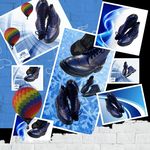 چرم پارس   شعبه کرج