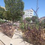 بوستان کوثر