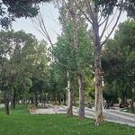پارک جنگلی تهلیجان