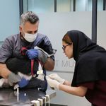 بیمارستان دامپزشکی شبانه روزی پارسه