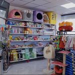 کلینیک دامپزشکی رد کارپت
