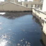 حسین میرزایی