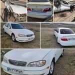 علی کاظمی دمقی