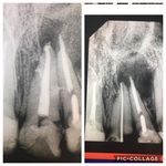 دکتر فرانک ربیعی