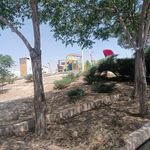 بوستان روشن شهر