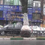 یارا پویش