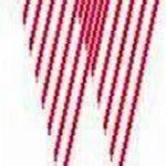 شرکت گلیم گستر