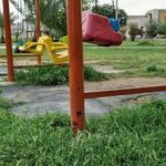 پارک قائم