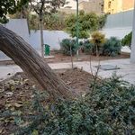 بوستان مهر آور