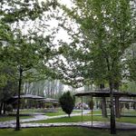 باغ میکاییل