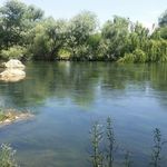 باغ میکاییل