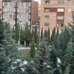 بوستان ذوالفقار