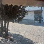 خدمات کامپیوتری سناتور