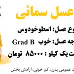 شرکت عسل سمائی